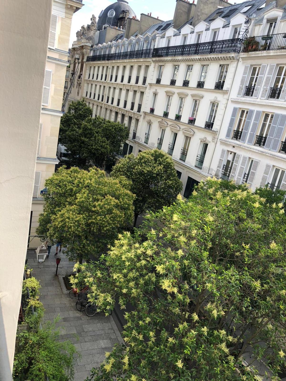 2 Pieces A 2 Pas Du Marais
